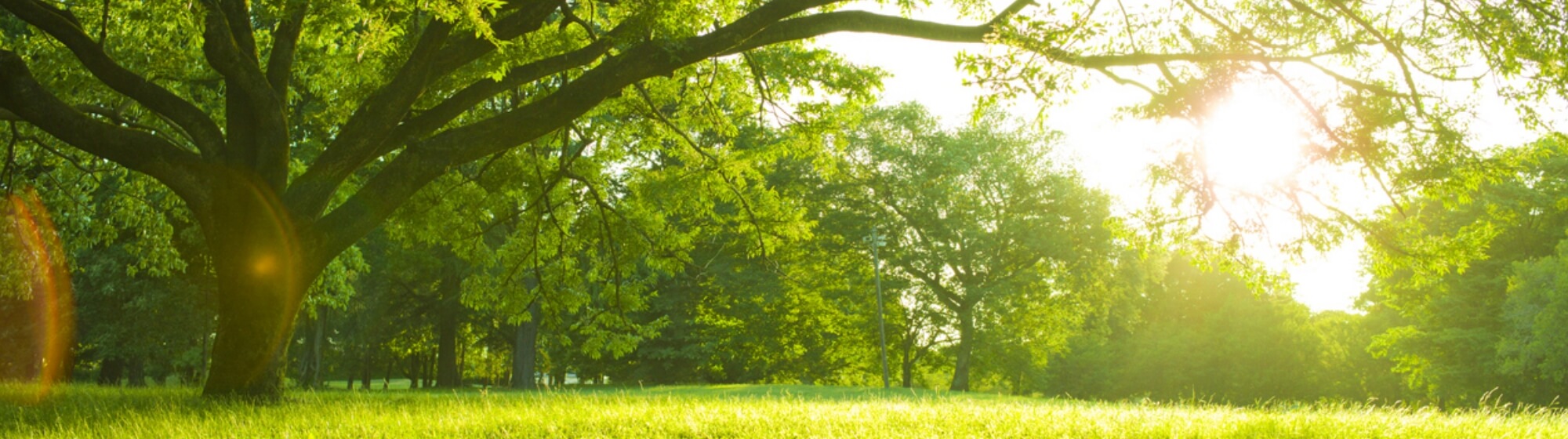 具体的な取り組み