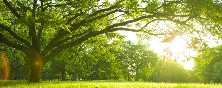 具体的な取り組み